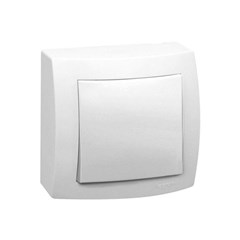 Interruptor Simples Sistema X 10a 675000 Legrand