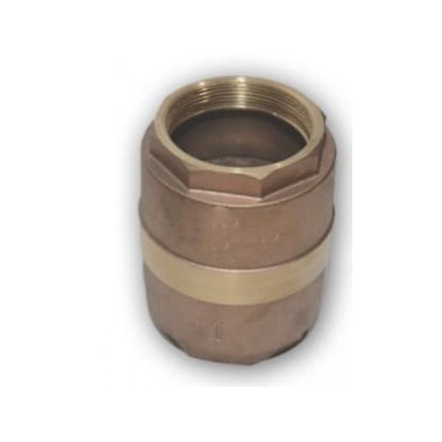 Válvula de Retenção Vertical Em Metal 1.1/2