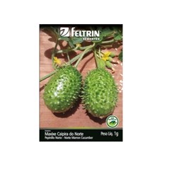 Sementes de Maxixe Do Norte 1g - (093.0053.Evec) Feltrin