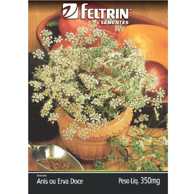 Sementes de Anis Ou Erva Doce 350mg - (096.0602.Evtc) Feltrin