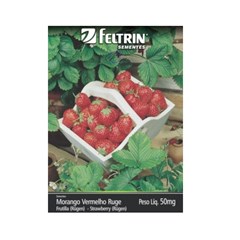Sementes de Morango Vermelho Ruge 50mg - (094.0785.Evfc) Feltrin