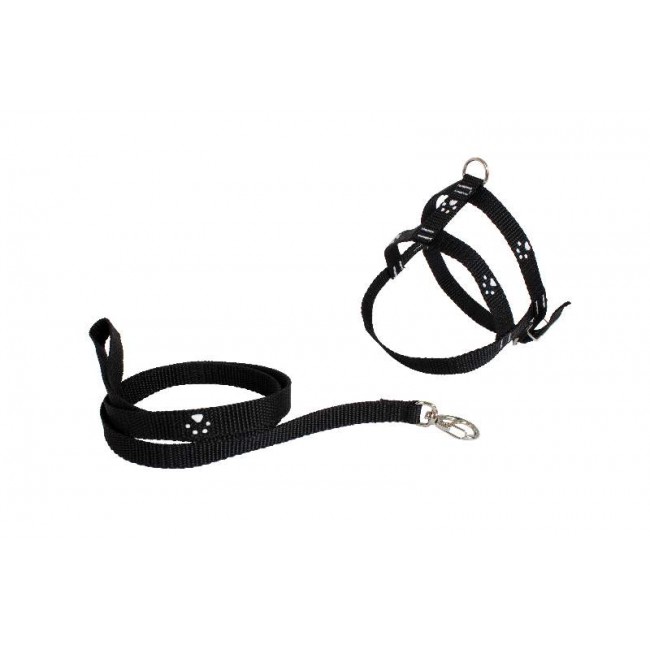 Conjunto Peitoral E Guia Para Pets Patinhas N°3 11094 D&G