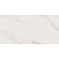 Revestimento Brilhante Retificado 30x60 Cm 