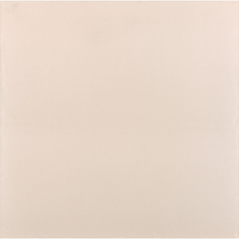Cerâmica Brilhante Retificada 59,5x59,5 Cm 