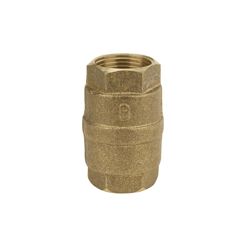 Válvula de Retenção Vertical Em Metal 1