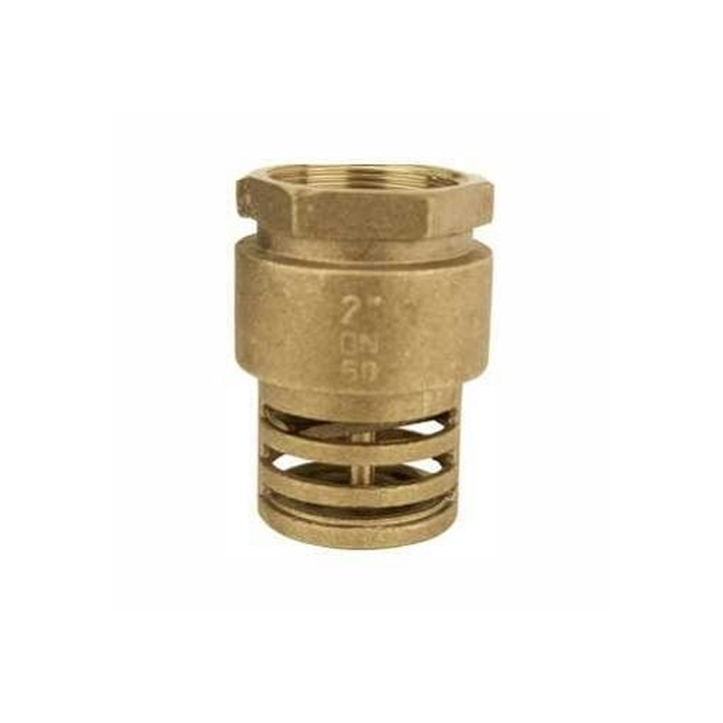 Válvula de Retenção Fundo de Poço Em Metal 1