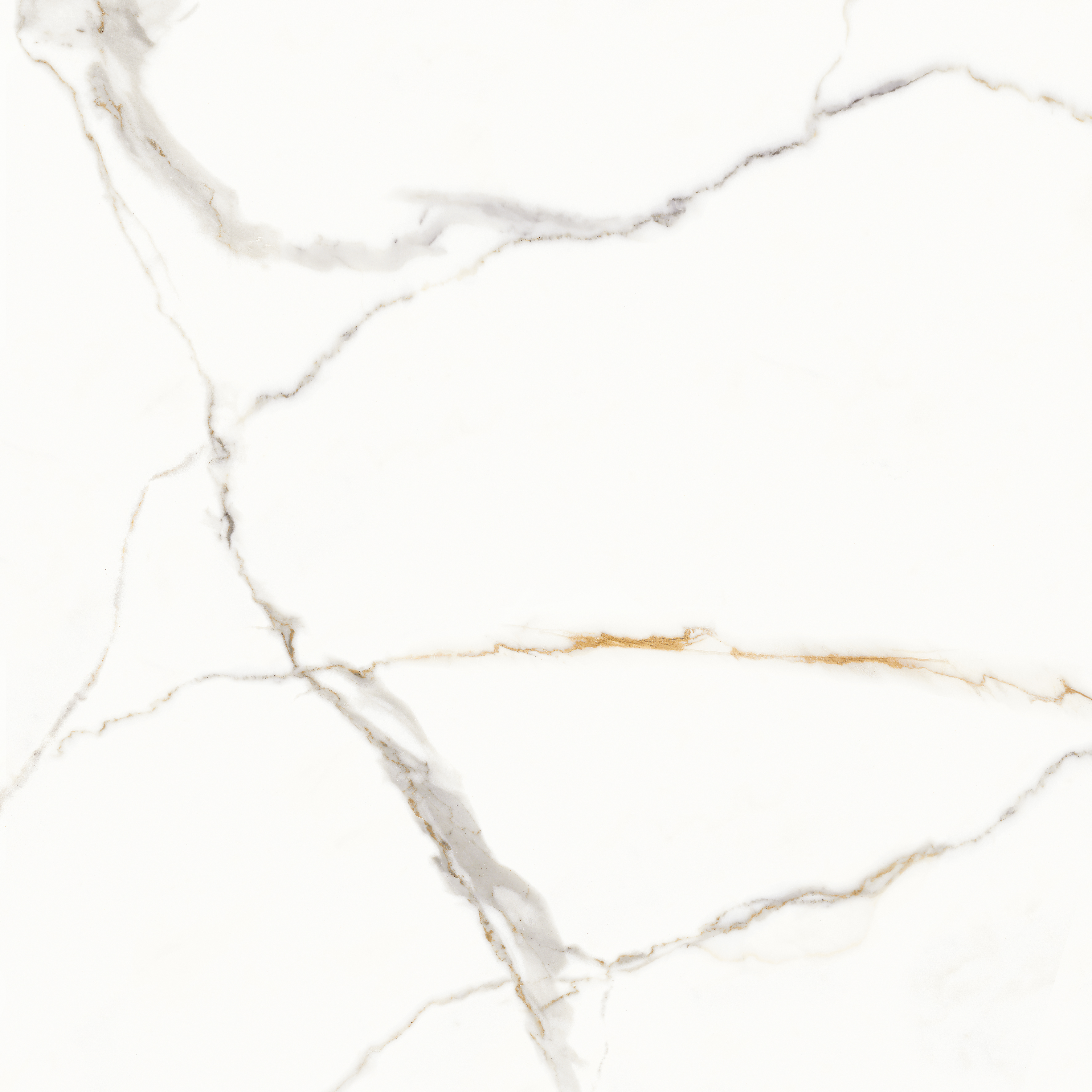 Cerâmica Brilhante Retificada 67x67 Cm 