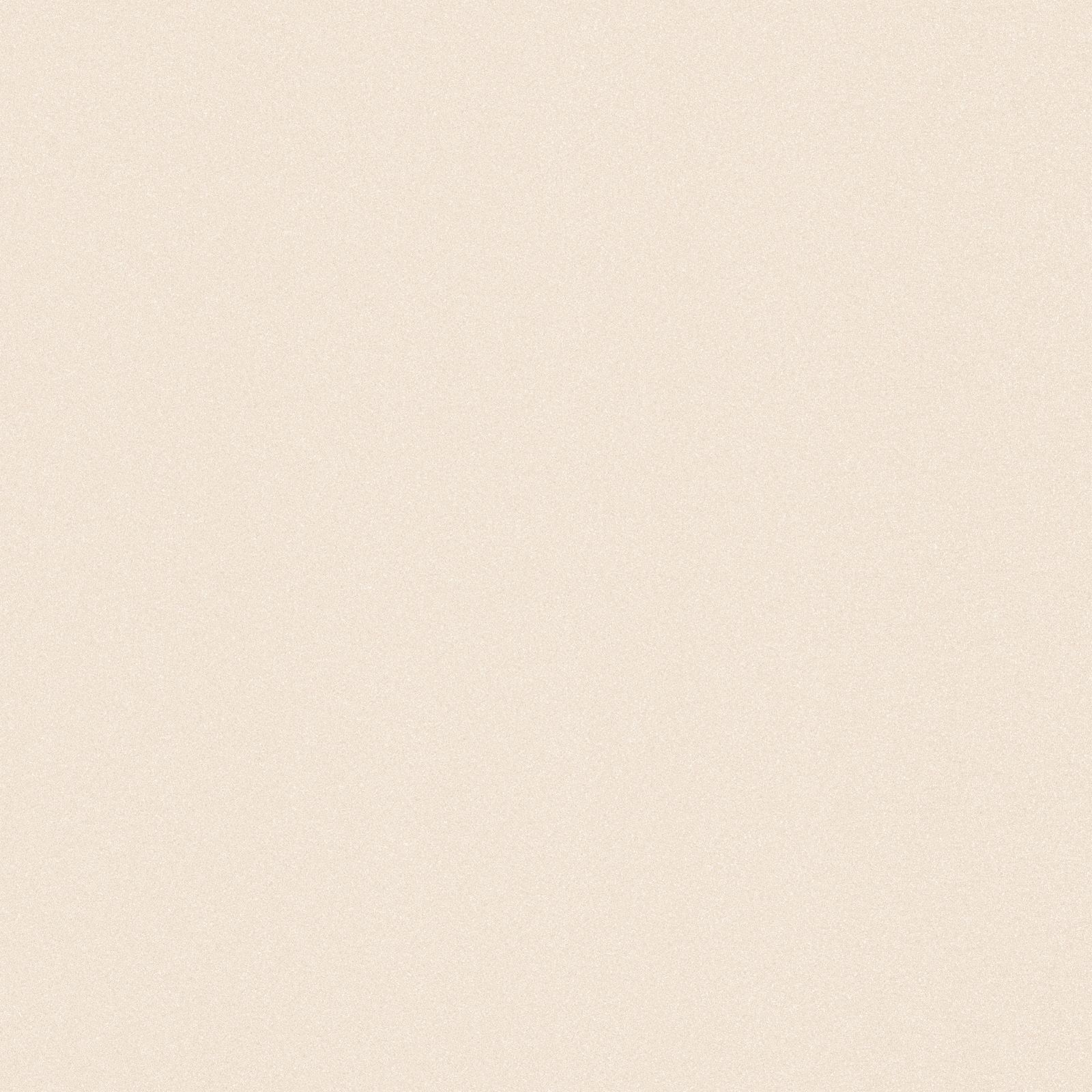 Cerâmica Brilhante Retificada 67x67 Cm 