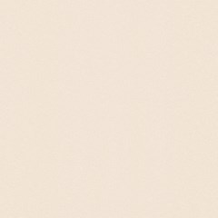 Cerâmica Brilhante Retificada 67x67 Cm 