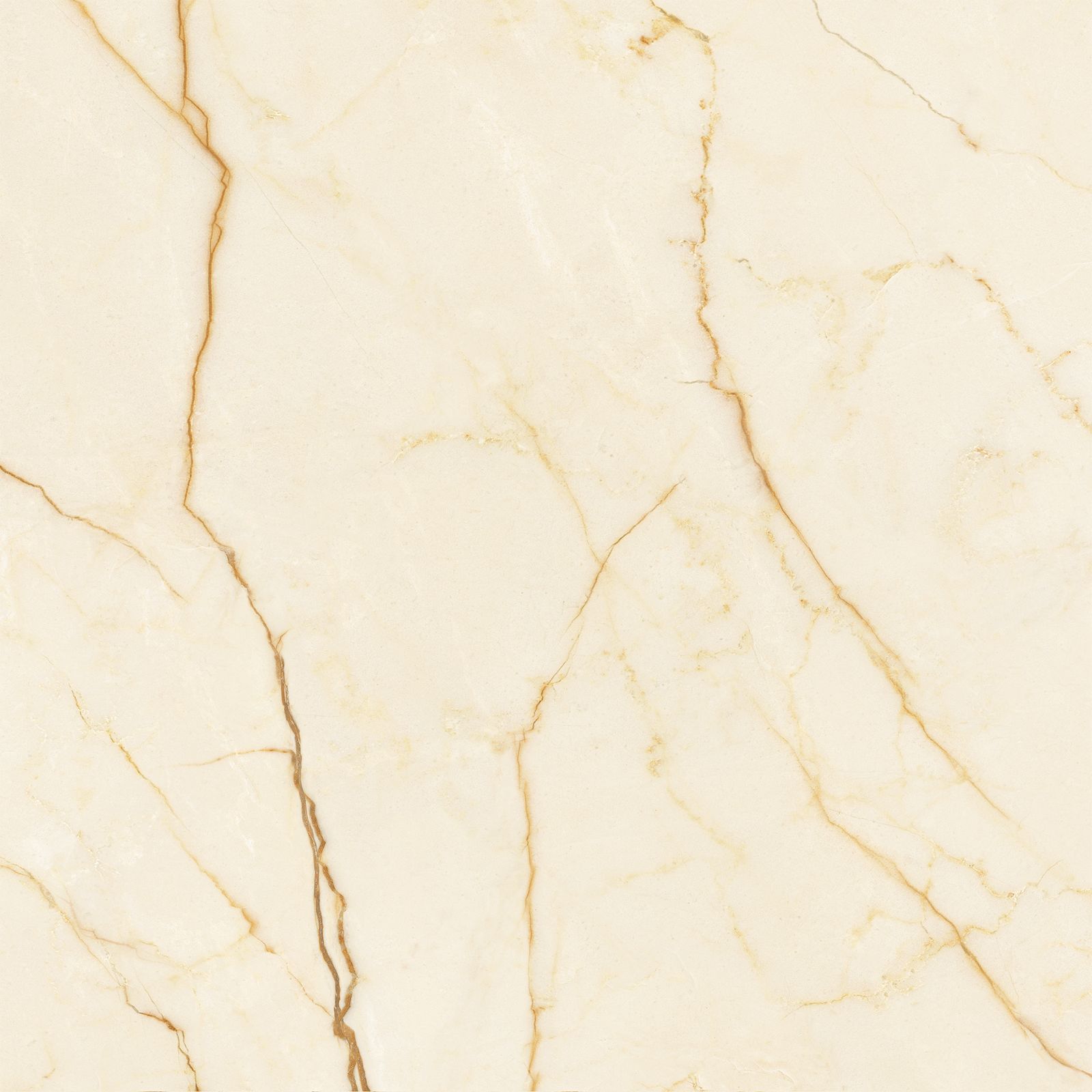 Cerâmica Brilhante Retificada 67x67 Cm 