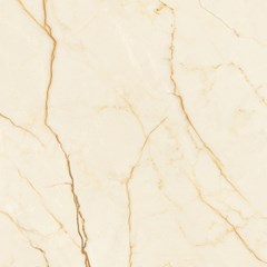 Cerâmica Brilhante Retificada 67x67 Cm 