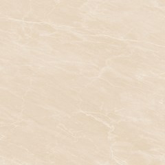 Cerâmica Brilhante Retificada 67x67 Cm 