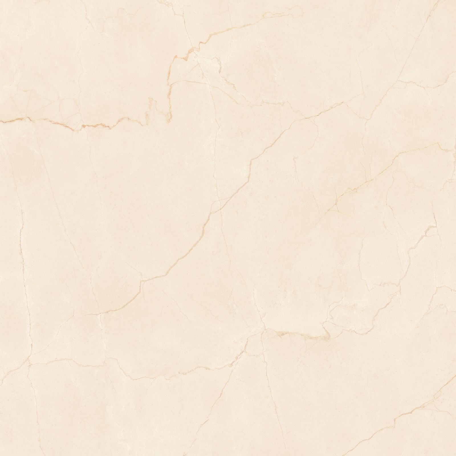 Cerâmica Brilhante Retificada 67x67 Cm 